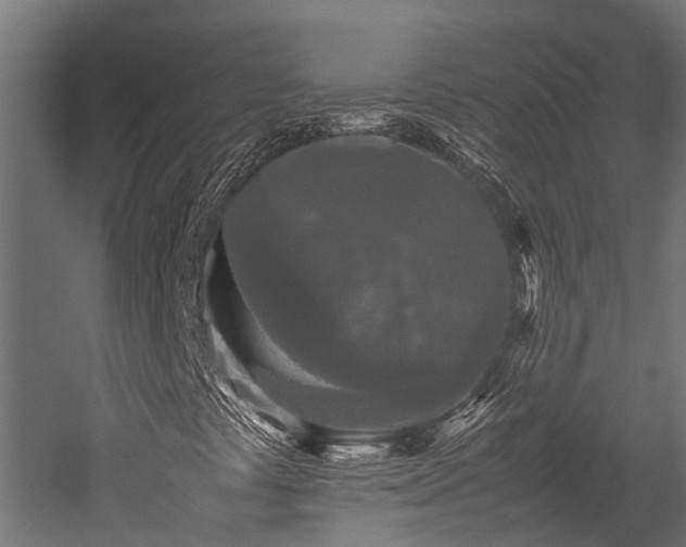 X0000052631441200507011307