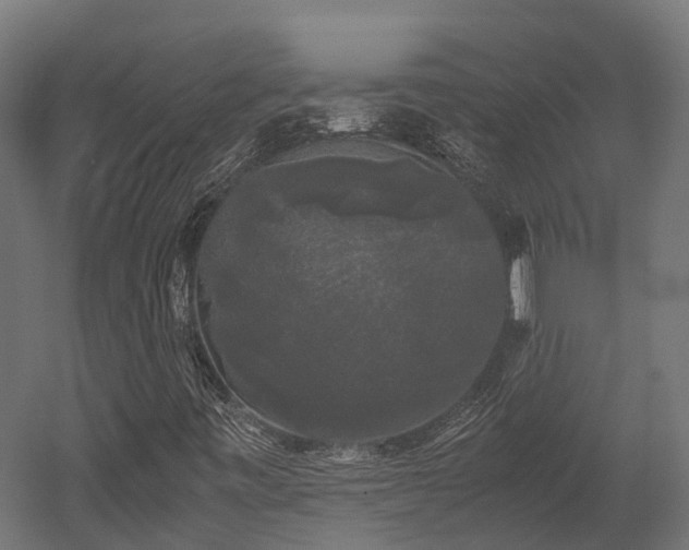 X0000052631443200507011307