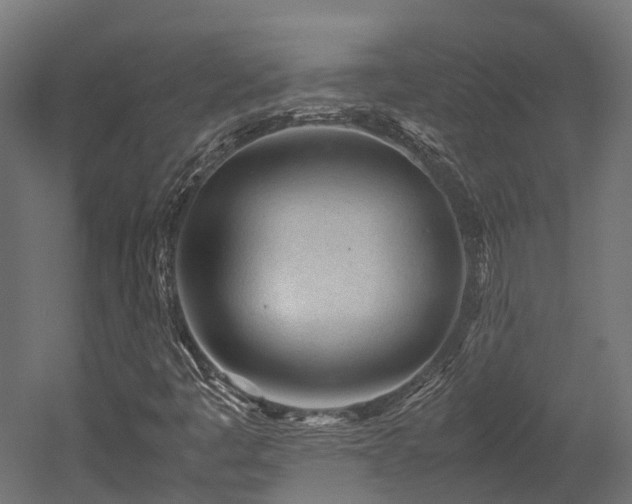 X0000052631445200507011307