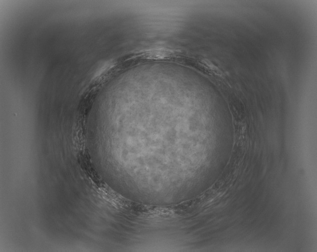 X0000052631446200507011307