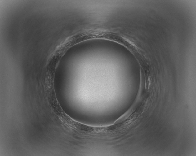 X0000052631447200507011307