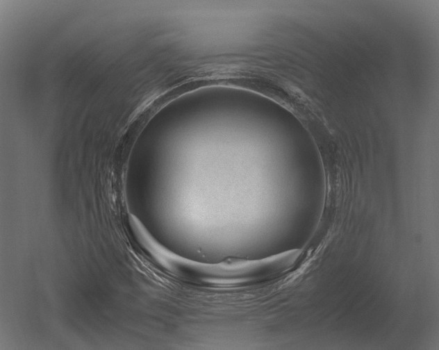 X0000052631449200507011307