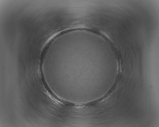 X0000052631452200507011307