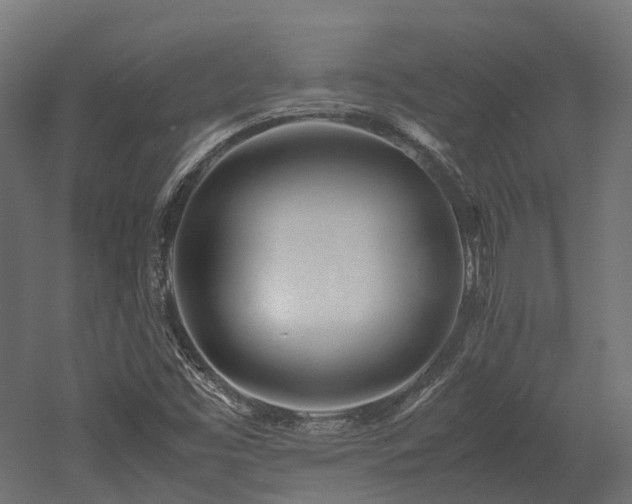X0000052631453200507011307