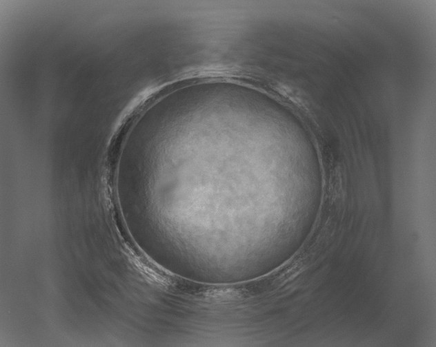 X0000052631454200507011307