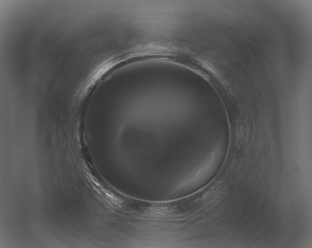 X0000052631455200507011307