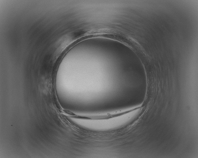 X0000052631457200507011307