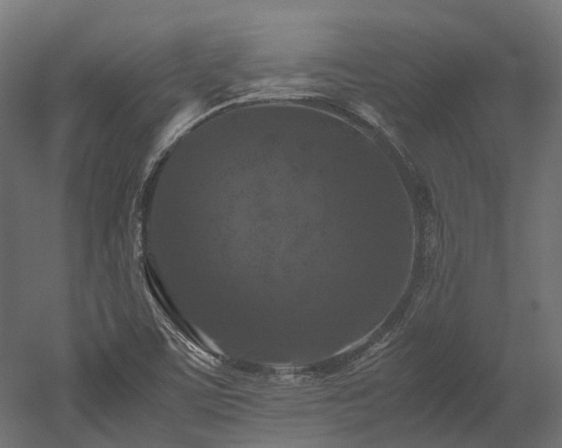 X0000052631459200507011307
