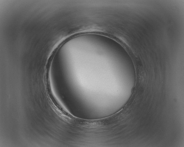 X0000052631460200507011307