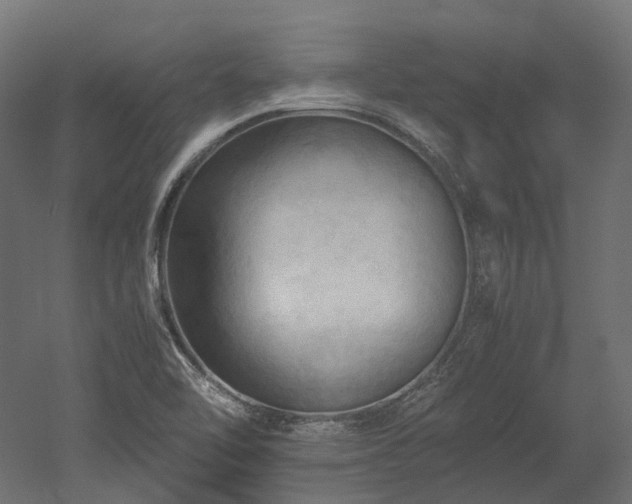 X0000052631462200507011307