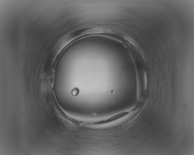 X0000052631465200507011307