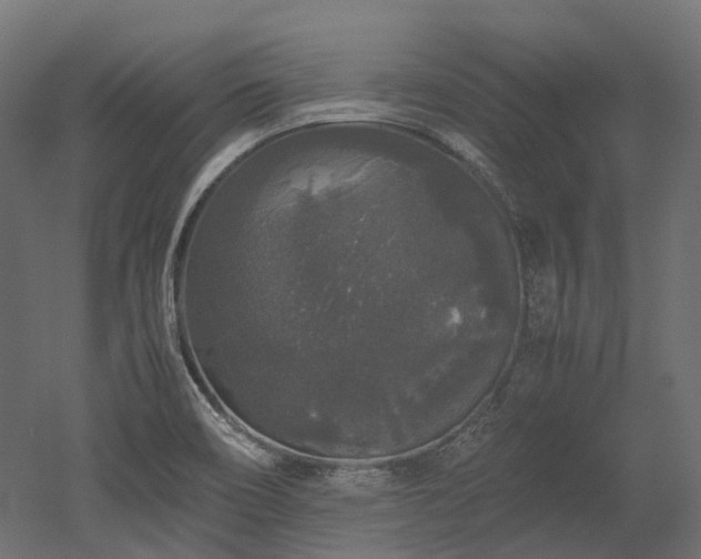 X0000052631466200507011307
