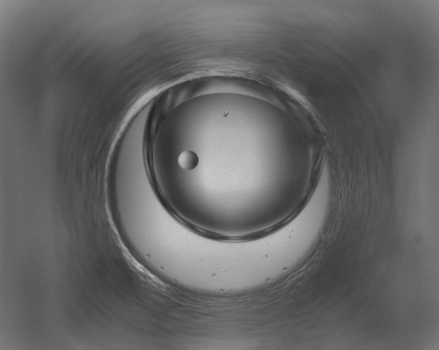 X0000052631471200507011307