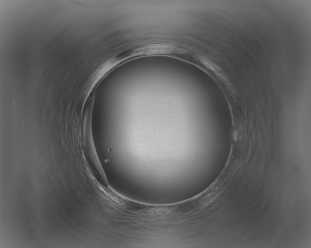 X0000052631473200507011307