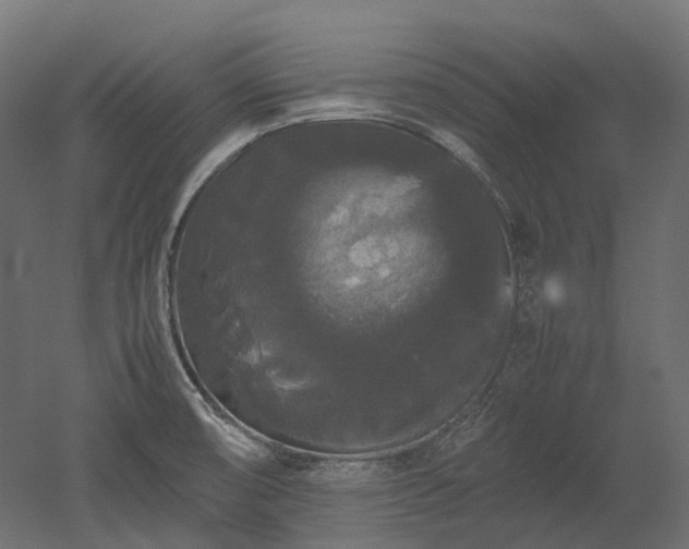 X0000052631474200507011307