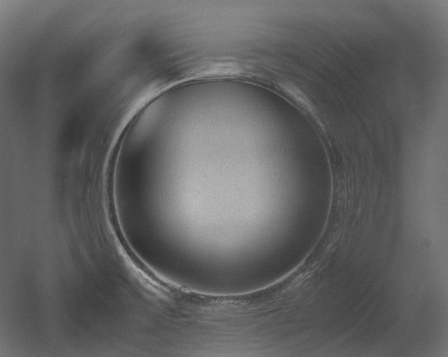 X0000052631475200507011307