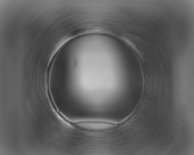 X0000052631476200507011307