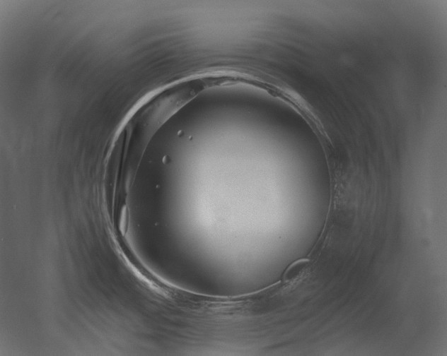 X0000052631484200507011307