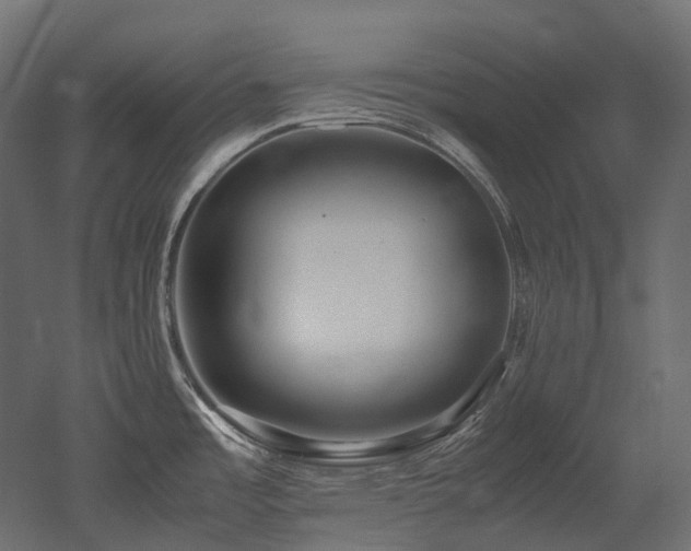 X0000052631485200507011307