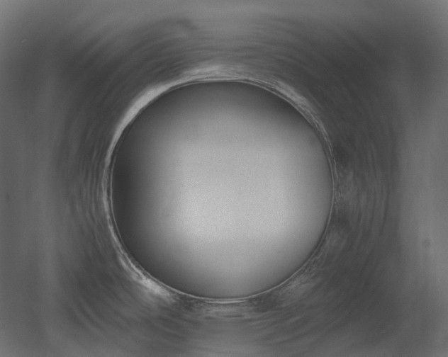 X0000052631486200507011307