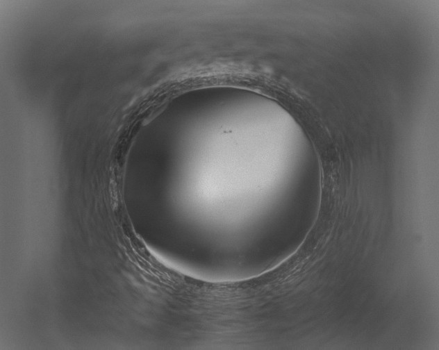 X0000052631493200507011306