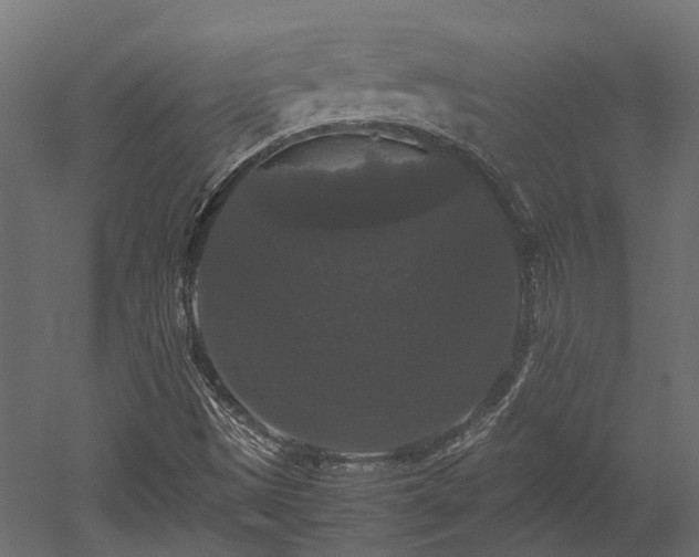 X0000052631497200507011306
