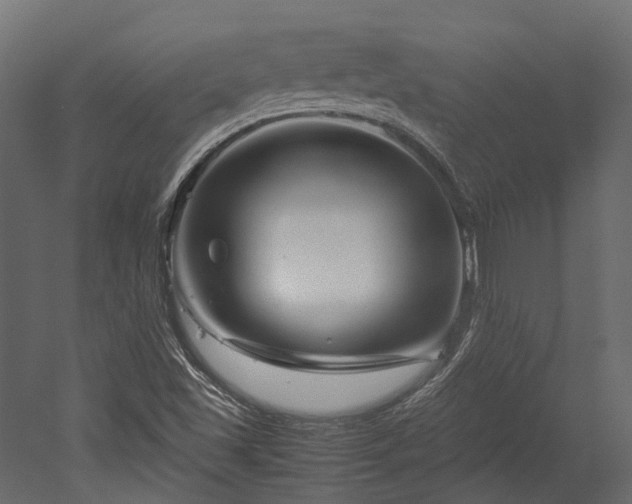 X0000052631501200507011306