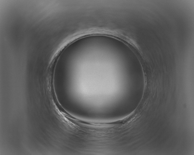 X0000052631504200507011306