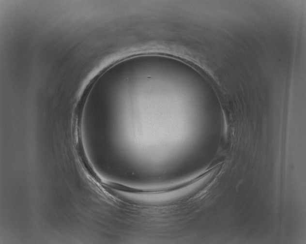X0000052631510200507011306