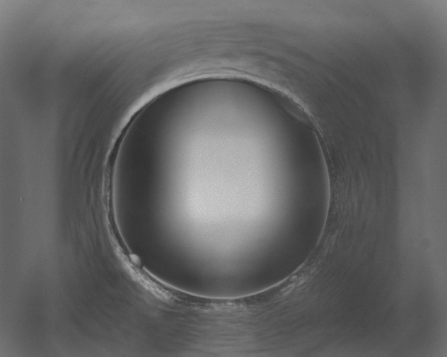 X0000052631526200507011306