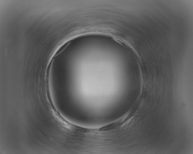X0000052631532200507011307
