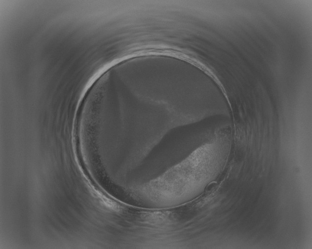 X0000052631533200507011307