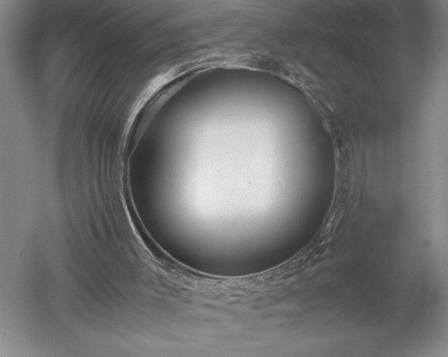 X0000052630003200507081951