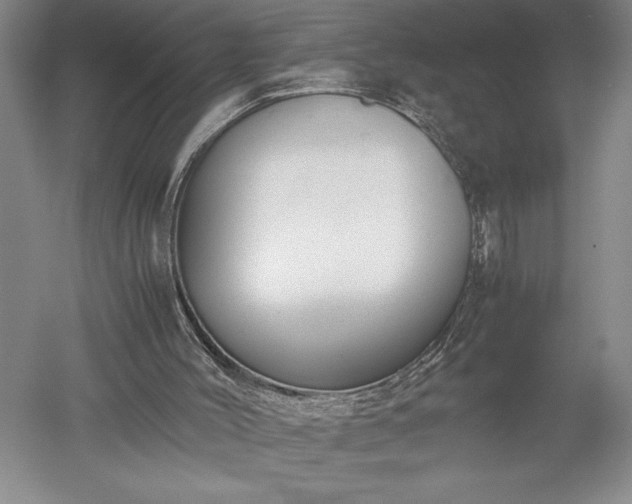 X0000052630004200507081951