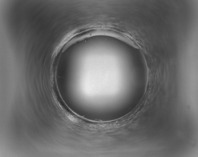 X0000052630005200507081951