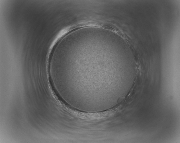 X0000052630006200507081951