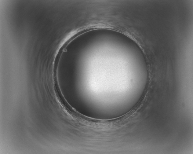 X0000052630008200507081951