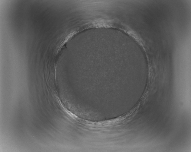 X0000052630009200507081951