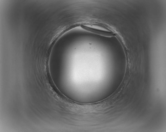X0000052630010200507081951