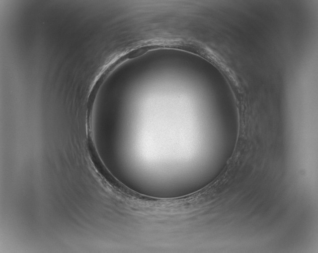 X0000052630011200507081951