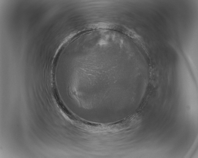 X0000052630012200507081951