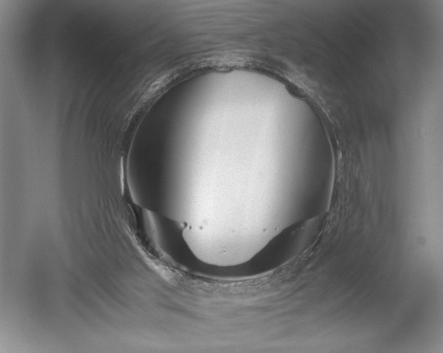 X0000052630013200507081951