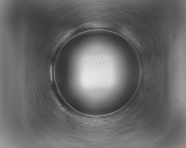 X0000052630014200507081951