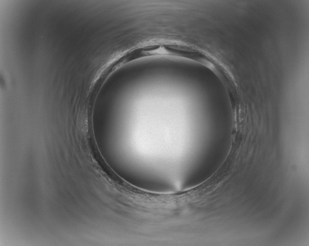 X0000052630015200507081951