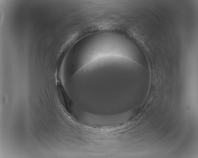 X0000052630019200507081951