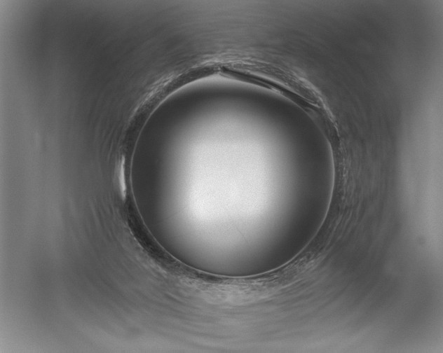 X0000052630020200507081951