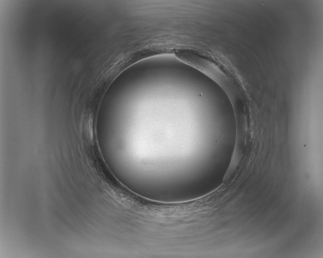 X0000052630021200507081951