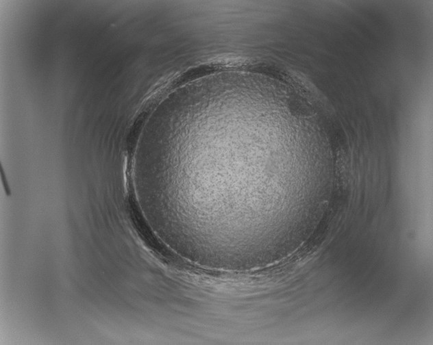 X0000052630024200507081951