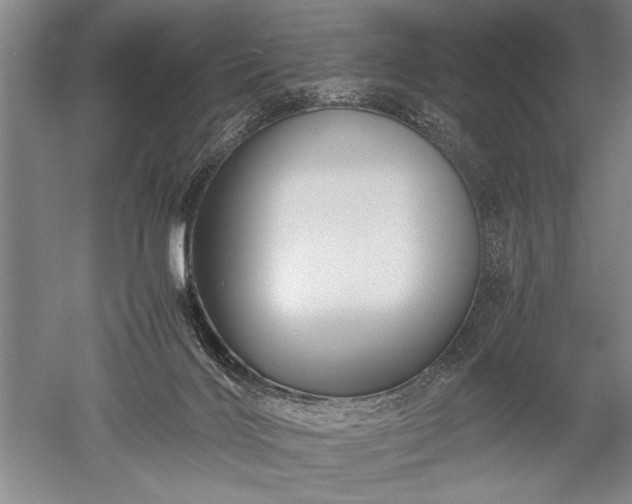 X0000052630028200507081951