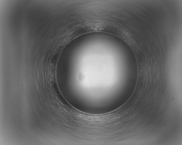 X0000052630030200507081951